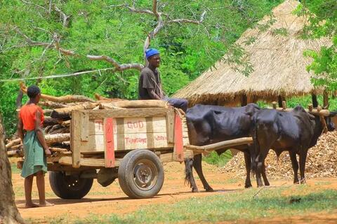 A young woman and a man on the wagon